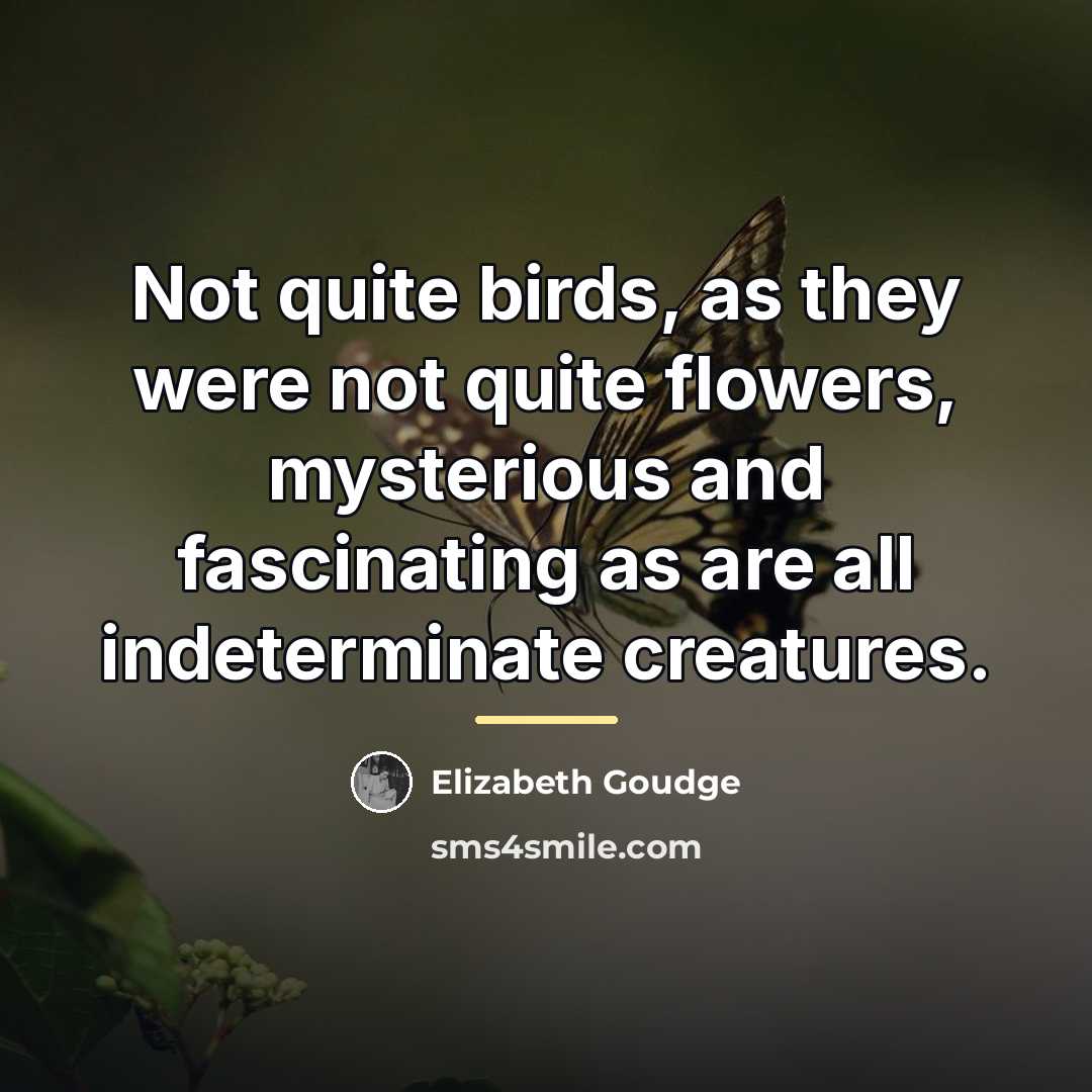“Not quite birds, as they were not quite flowers, mysterious…” quote by Elizabeth Goudge