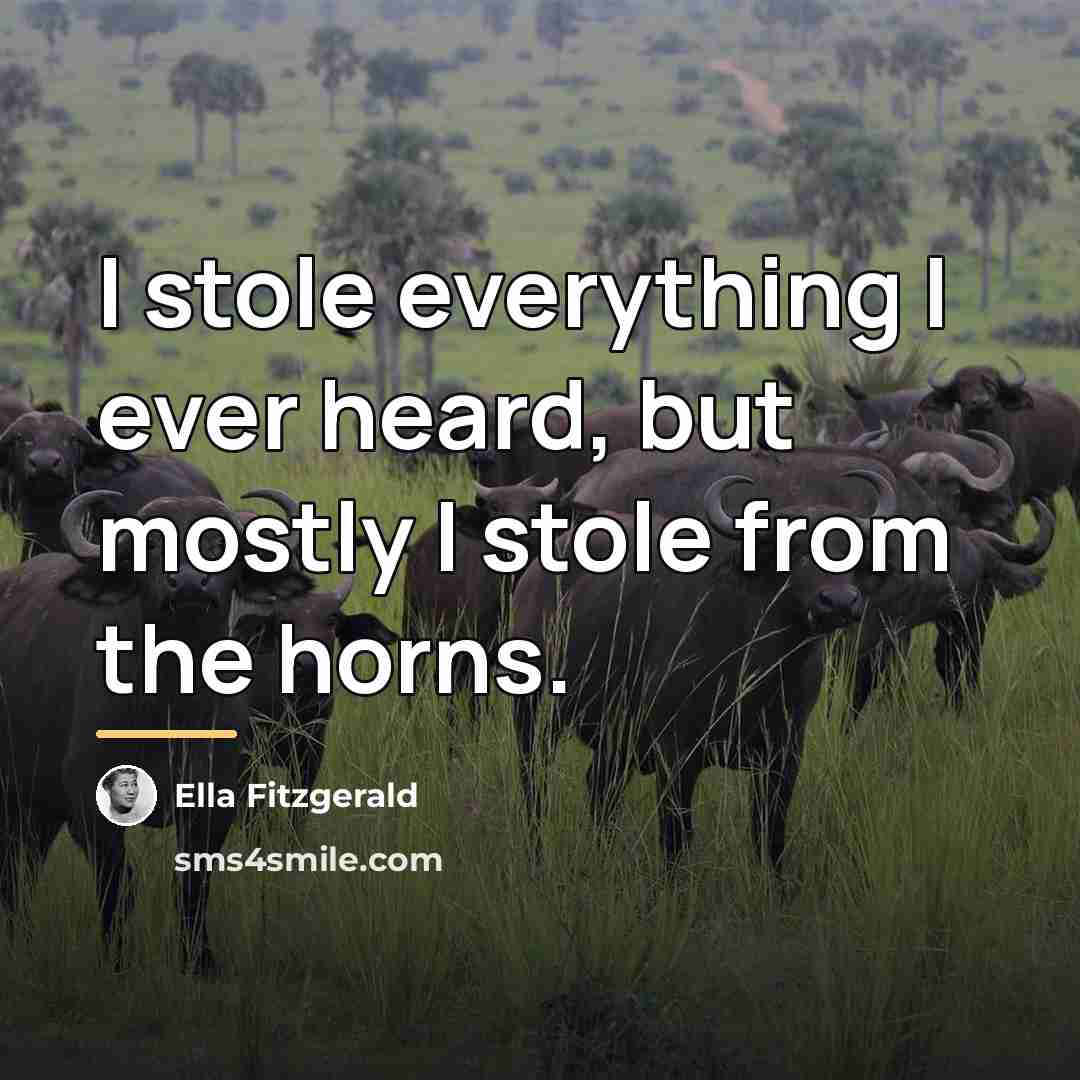 “I stole everything I ever heard, but mostly I stole…” quote by Ella Fitzgerald