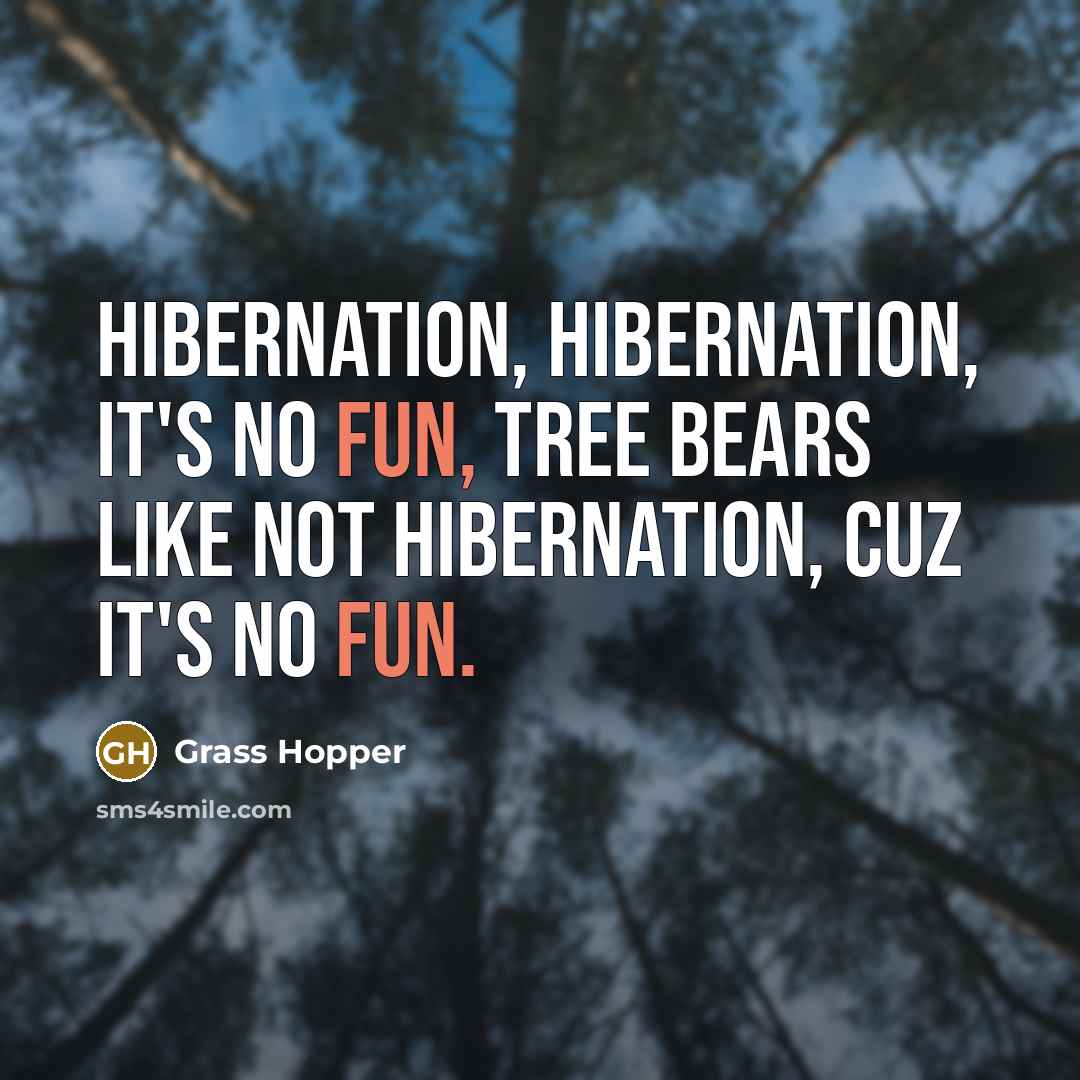 “Hibernation, hibernation, it's no fun, tree bears like not hibernation,…” quote by Grass Hopper