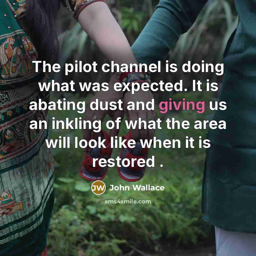 “The pilot channel is doing what was expected. It is…” quote by John Wallace
