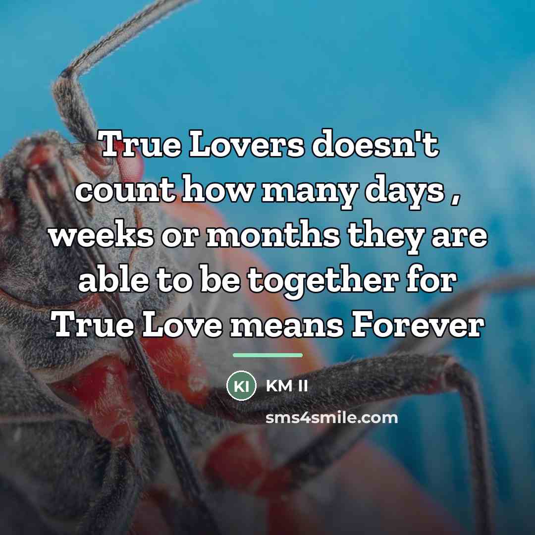 “True Lovers doesn't count how many days , weeks or…” quote by KM II