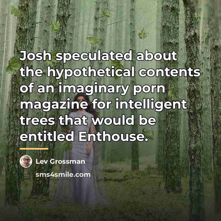 “Josh speculated about the hypothetical contents of an imaginary porn…” quote by Lev Grossman