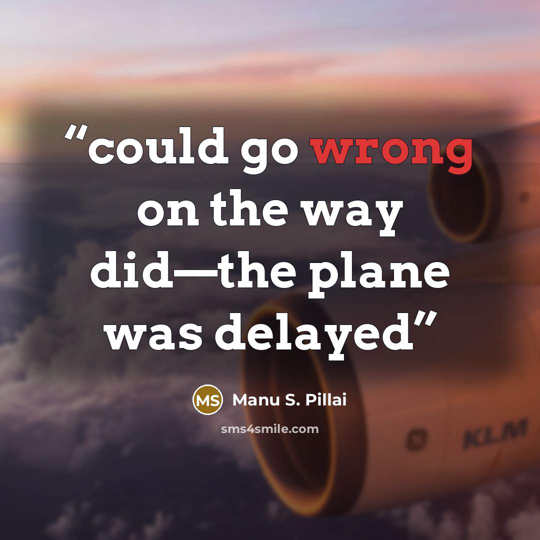 “could go wrong on the way did—the plane was delayed” quote by Manu S. Pillai