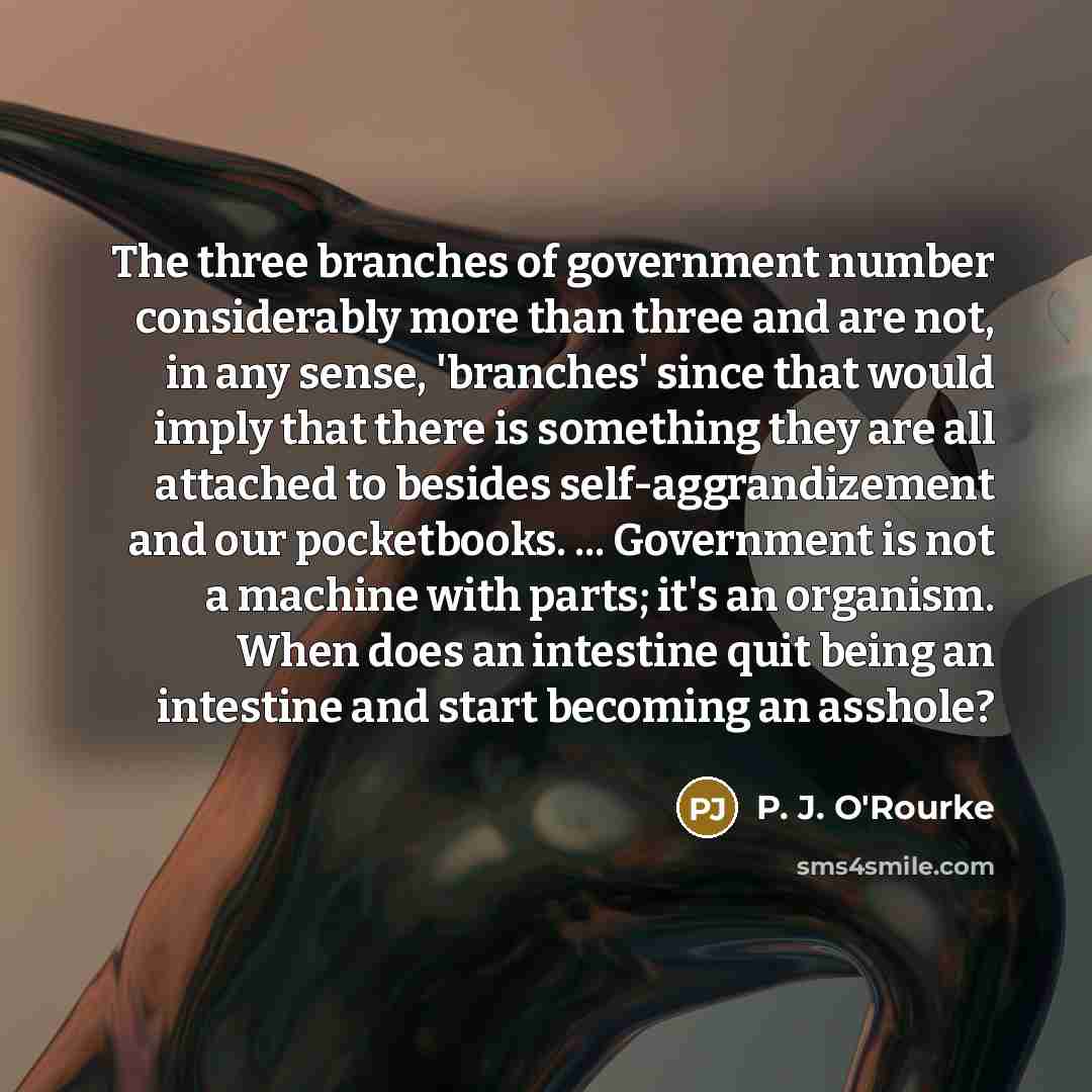 “The three branches of government number considerably more than three…” quote by P. J. O'Rourke