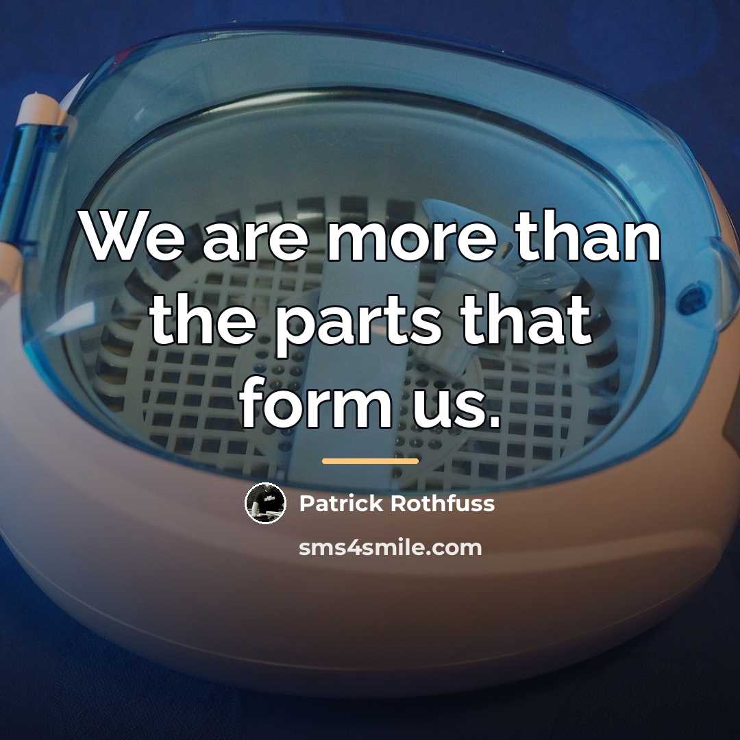 “We are more than the parts that form us.…” quote by Patrick Rothfuss