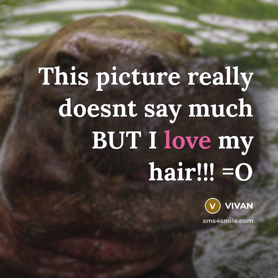 “This picture really doesnt say much BUT I love my…” quote by VIVAN