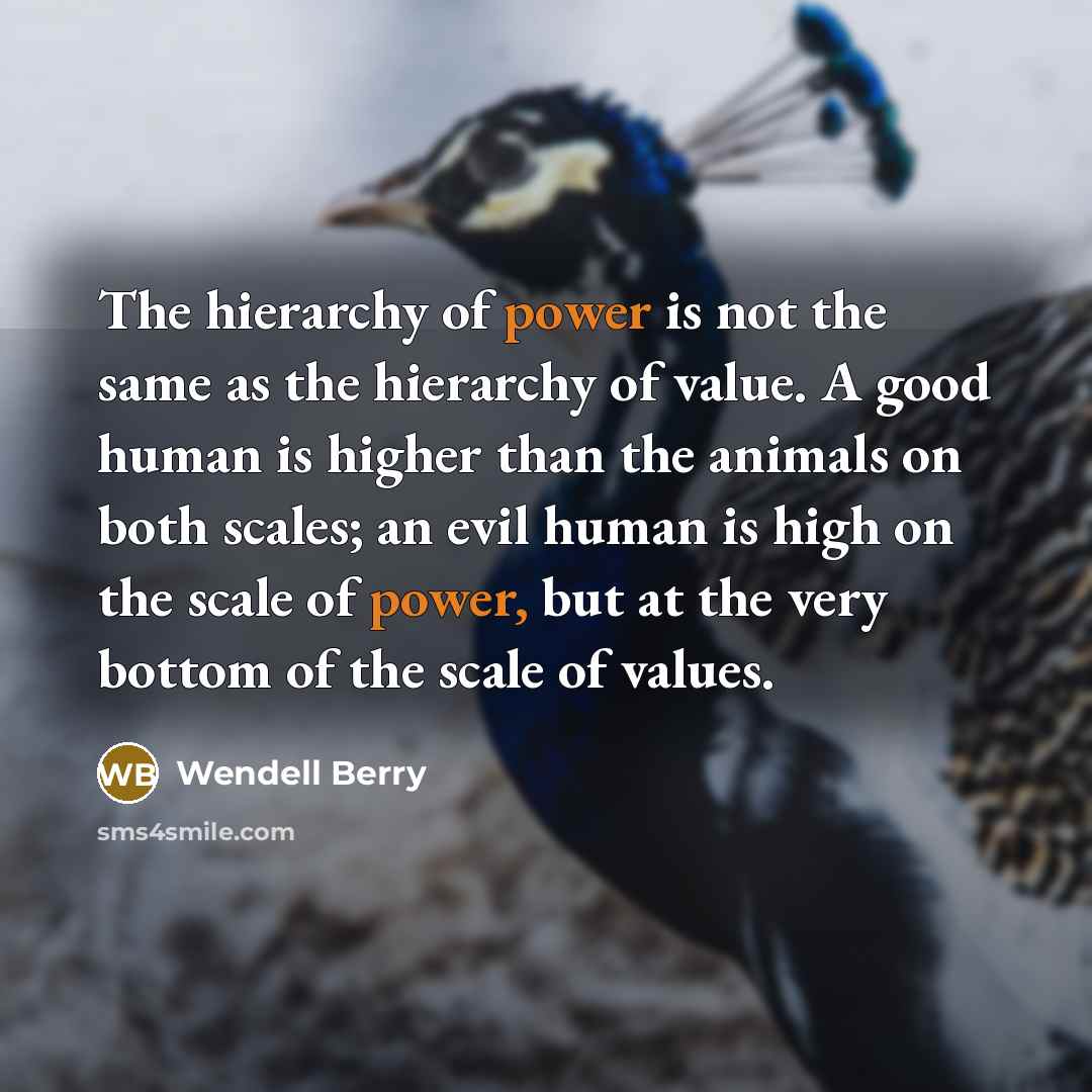 “The hierarchy of power is not the same as the…” quote by Wendell Berry
