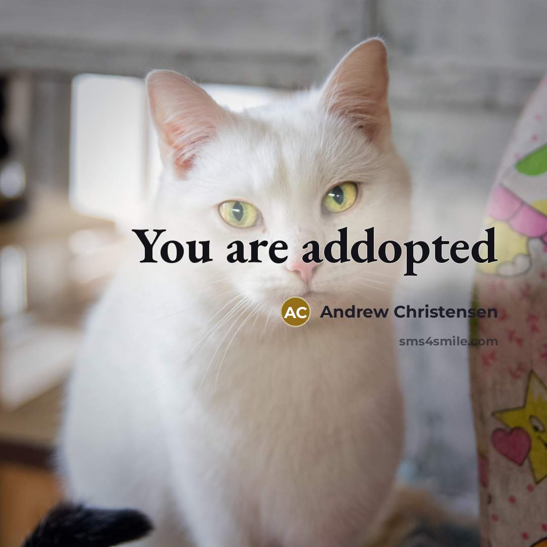 “You are addopted” quote by Andrew Christensen