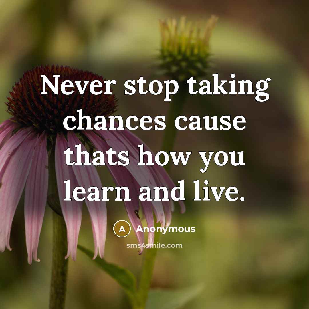 “Never stop taking chances cause thats how you learn and live.” quote by Anonymous
