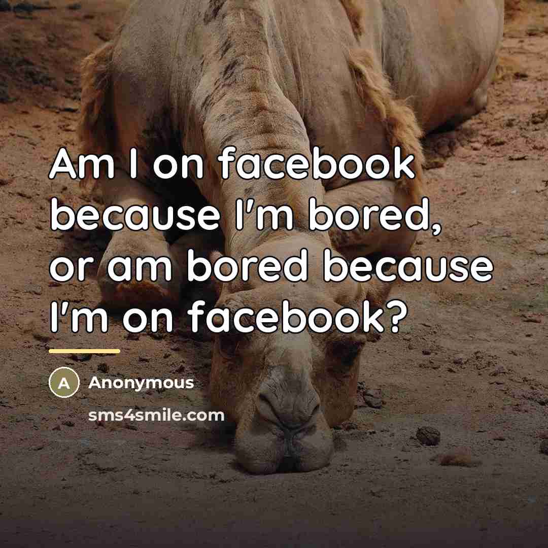 “Am I on facebook because I'm bored, or am bored…” quote by Anonymous
