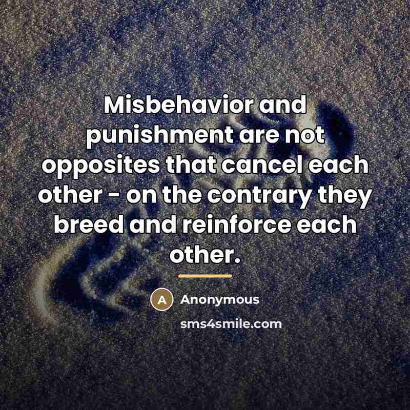 “Misbehavior and punishment are not opposites that cancel each other…” quote by Anonymous