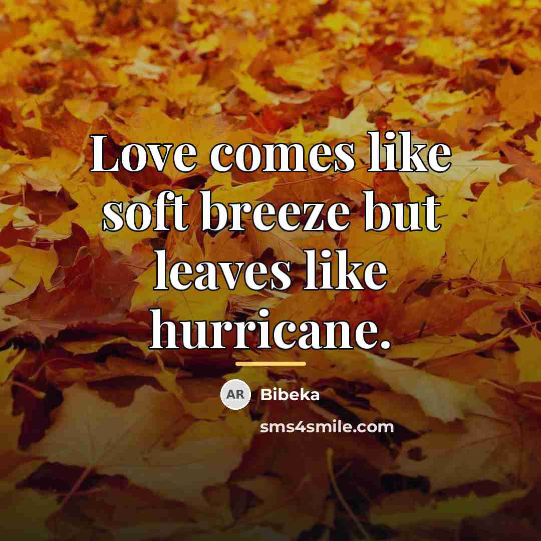 “Love comes like soft breeze but leaves like hurricane.…” quote by Bibeka