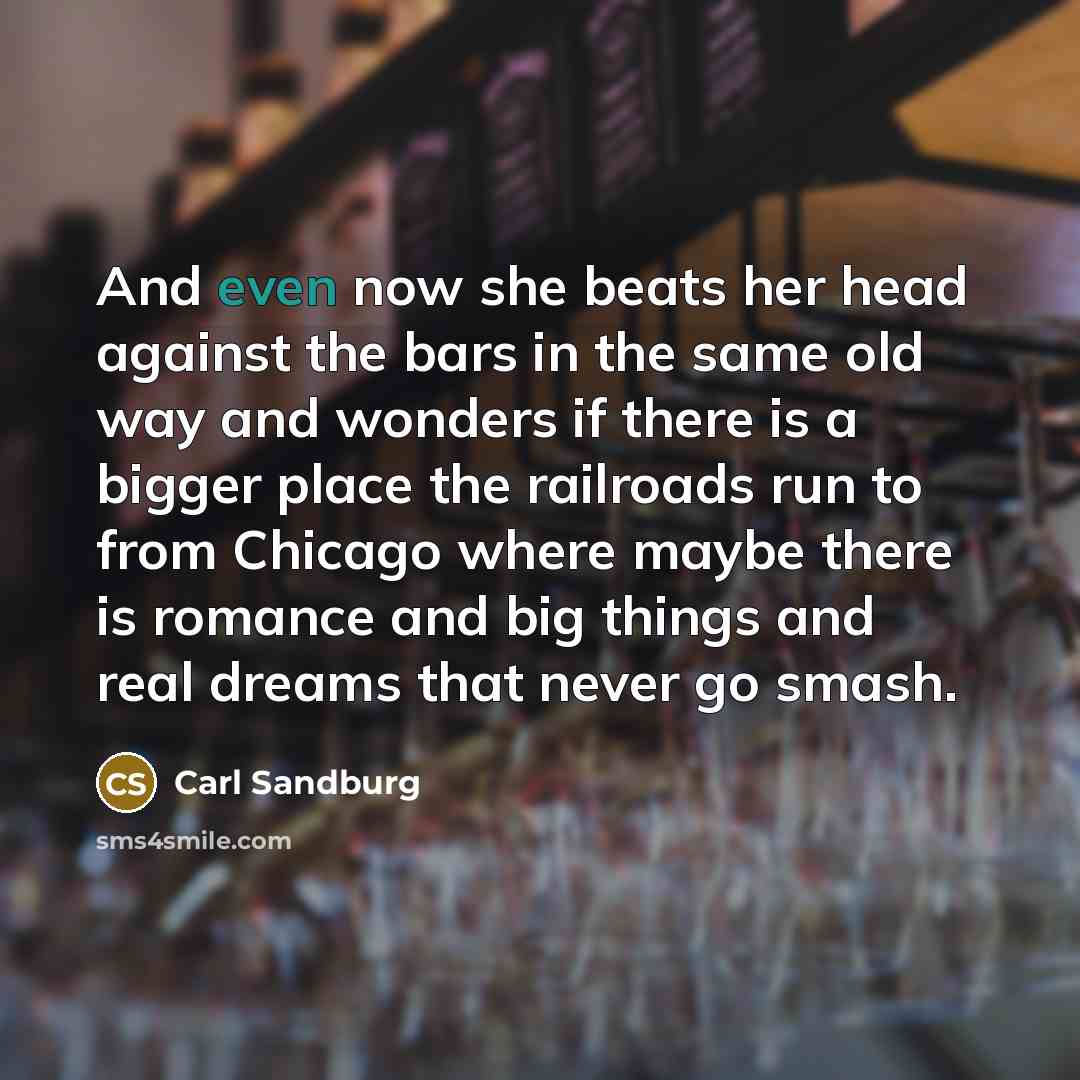 “And even now she beats her head against the bars…” quote by Carl Sandburg