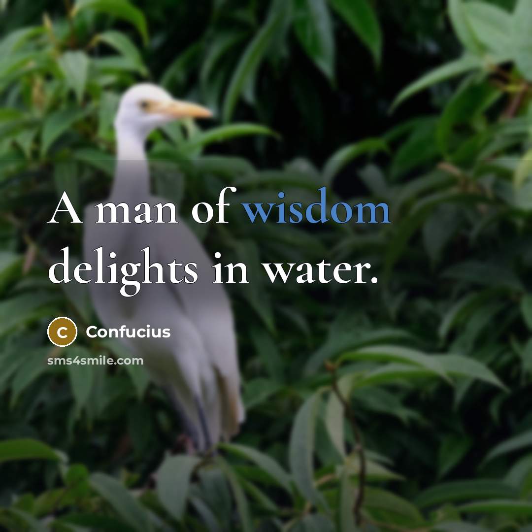 “A man of wisdom delights in water.…” quote by Confucius