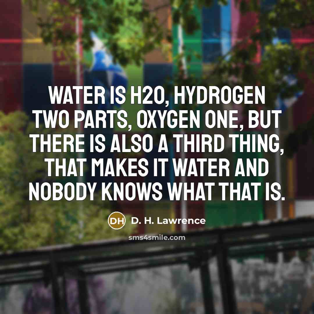 “Water is H2O, hydrogen two parts, oxygen one, but there…” quote by D. H. Lawrence