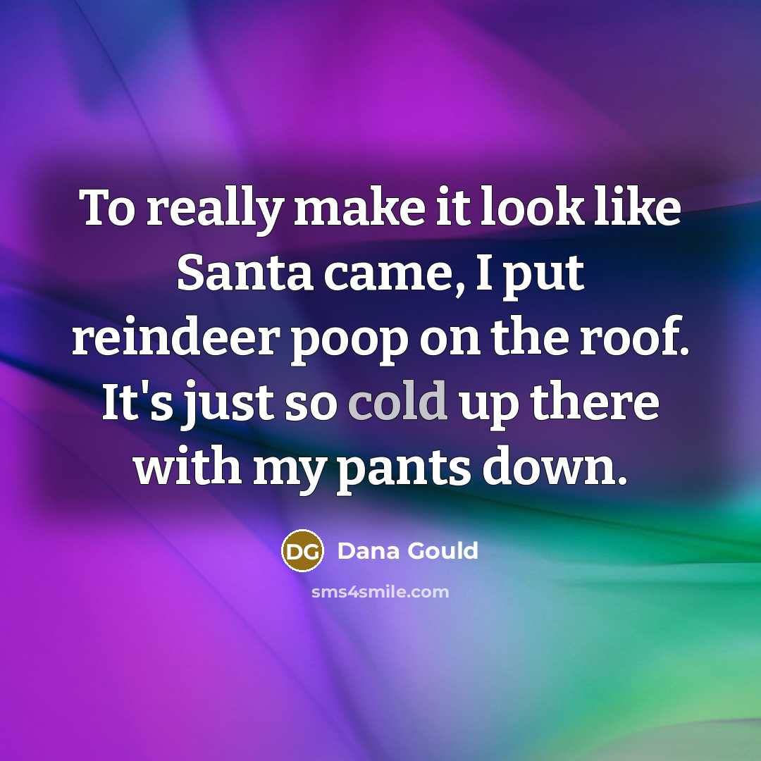 “To really make it look like Santa came, I put…” quote by Dana Gould