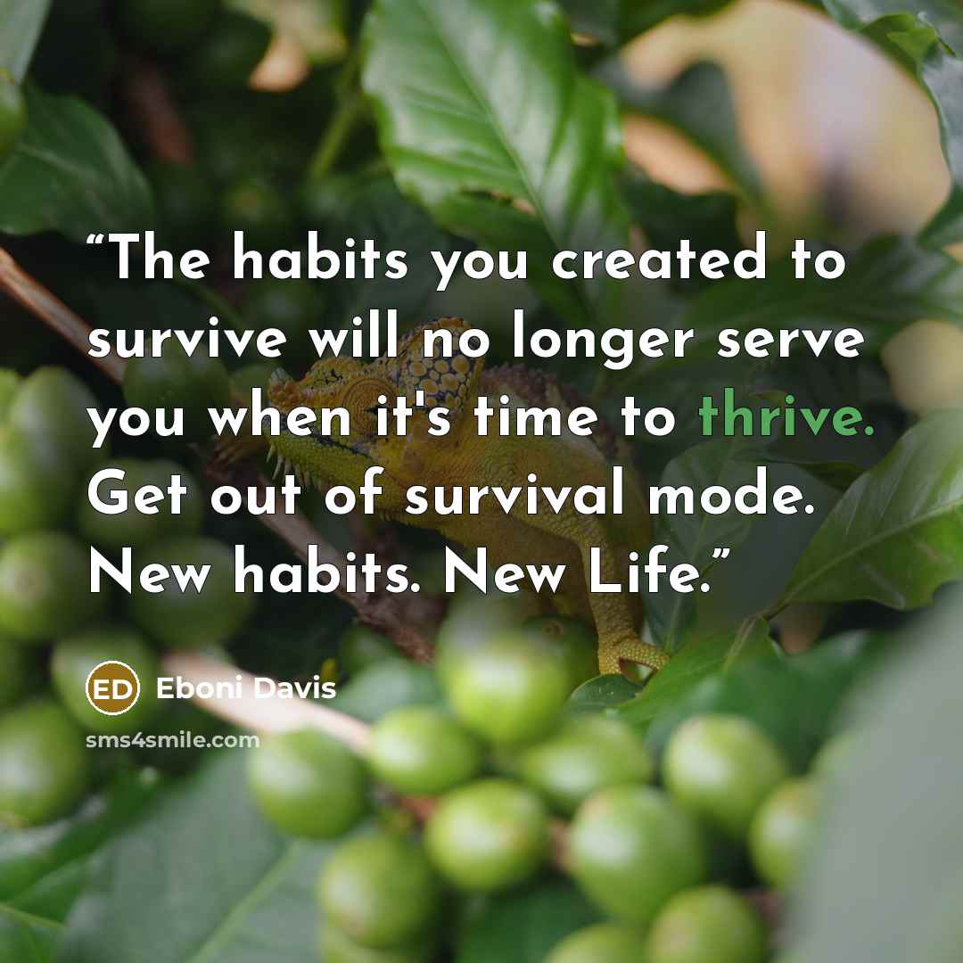 “The habits you created to survive will no longer serve you when it's time to thrive. Get out of survival mode. New habits. New Life.” quote by Eboni Davis