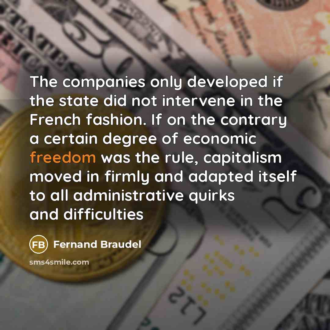 “The companies only developed if the state did not intervene…” quote by Fernand Braudel