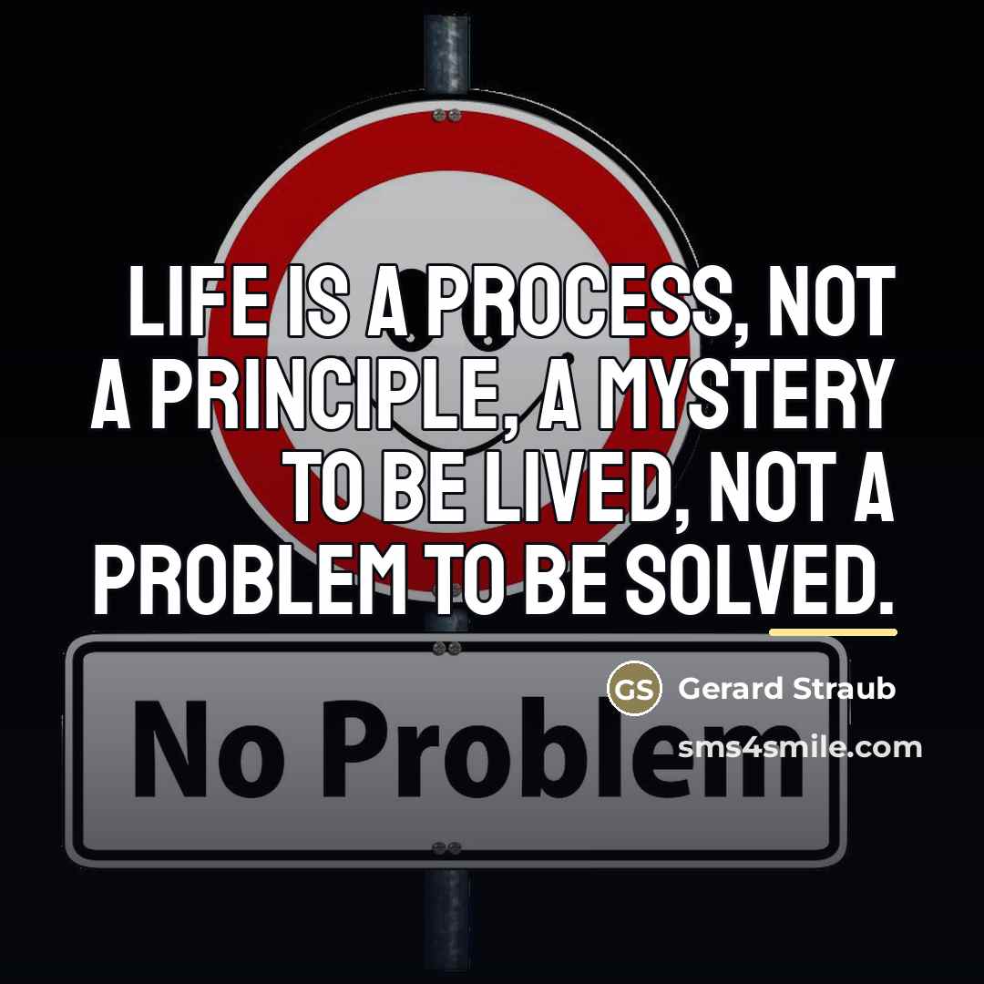 “Life is a process, not a principle, a mystery to…” quote by Gerard Straub