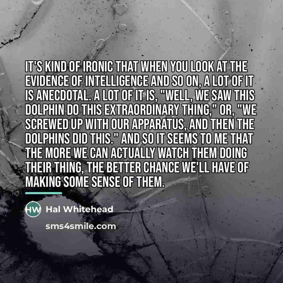 “It's kind of ironic that when you look at the…” quote by Hal Whitehead