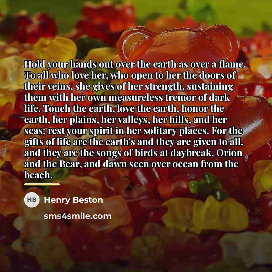 “Hold your hands out over the earth as over a…” quote by Henry Beston