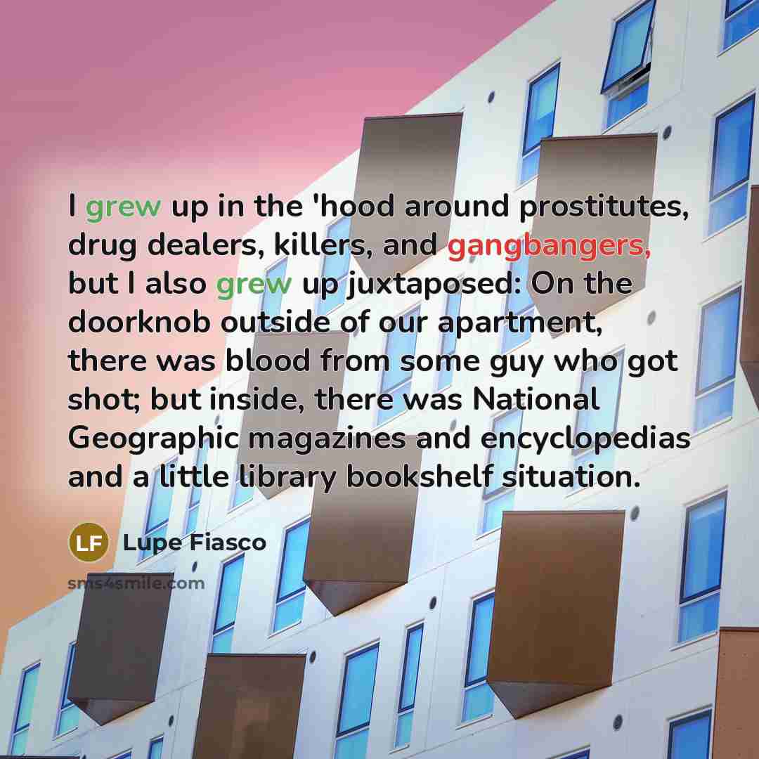 “I grew up in the 'hood around prostitutes, drug dealers,…” quote by Lupe Fiasco