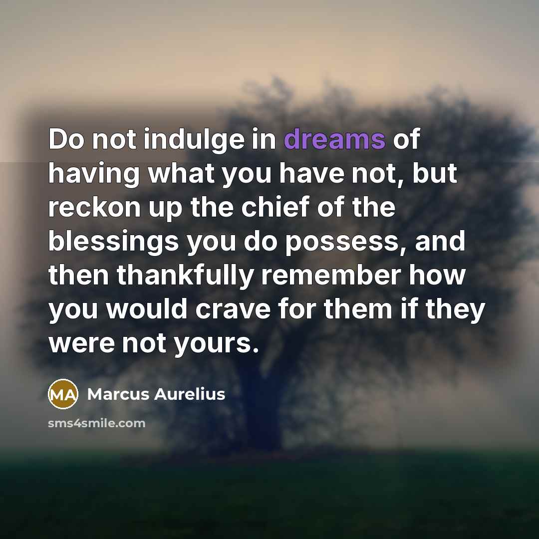 “Do not indulge in dreams of having what you have…” quote by Marcus Aurelius