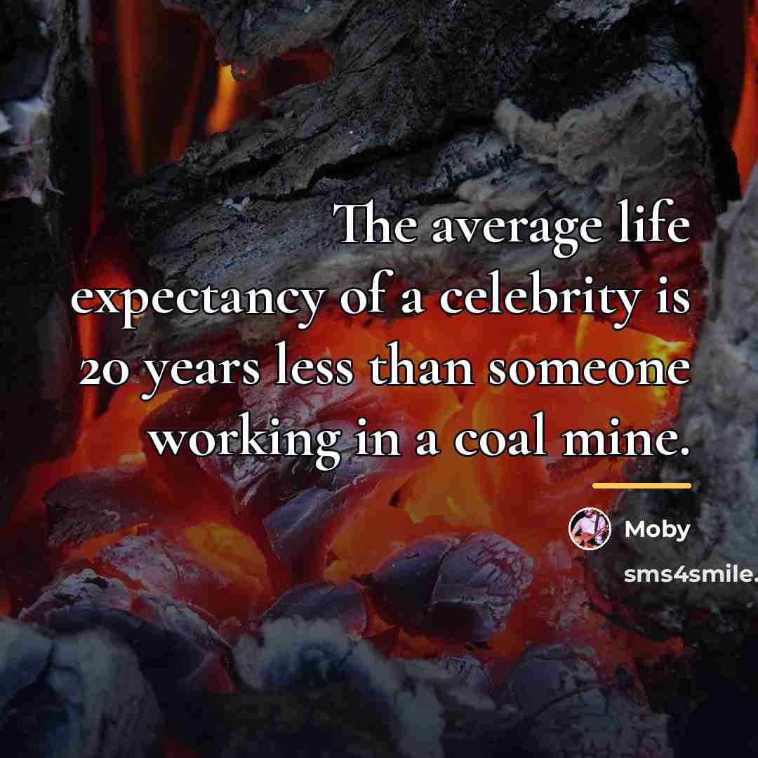 “The average life expectancy of a celebrity is 20 years…” quote by Moby