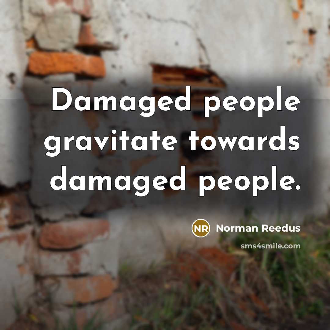 “Damaged people gravitate towards damaged people.…” quote by Norman Reedus