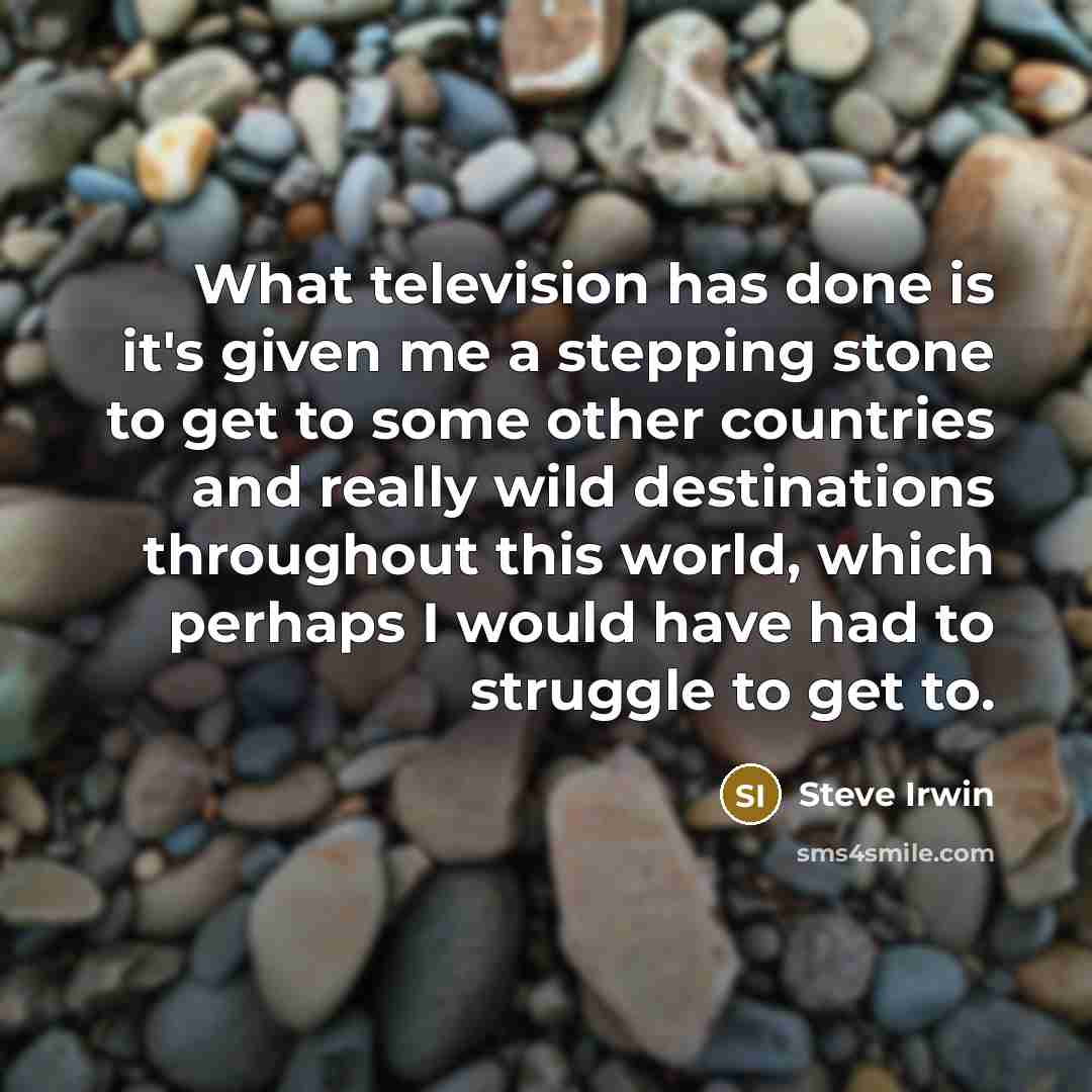 “What television has done is it's given me a stepping…” quote by Steve Irwin