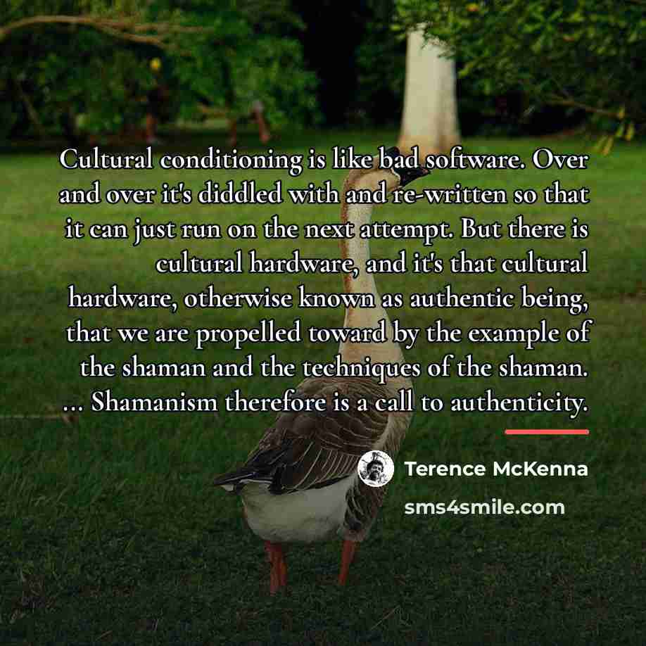 “Cultural conditioning is like bad software. Over and over it's…” quote by Terence McKenna