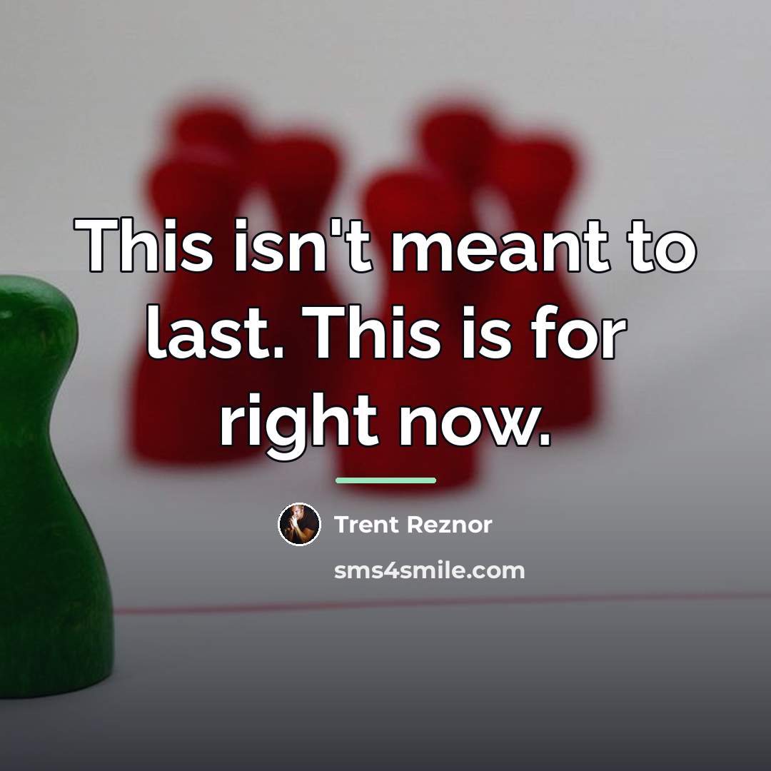 “This isn't meant to last. This is for right now.…” quote by Trent Reznor