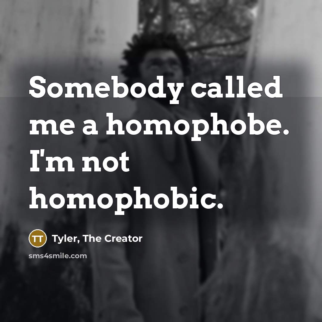 “Somebody called me a homophobe. I'm not homophobic.…” quote by Tyler, The Creator