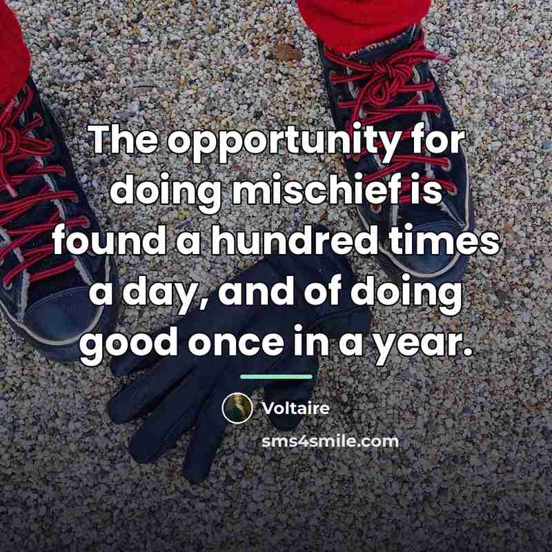 “The opportunity for doing mischief is found a hundred times…” quote by Voltaire