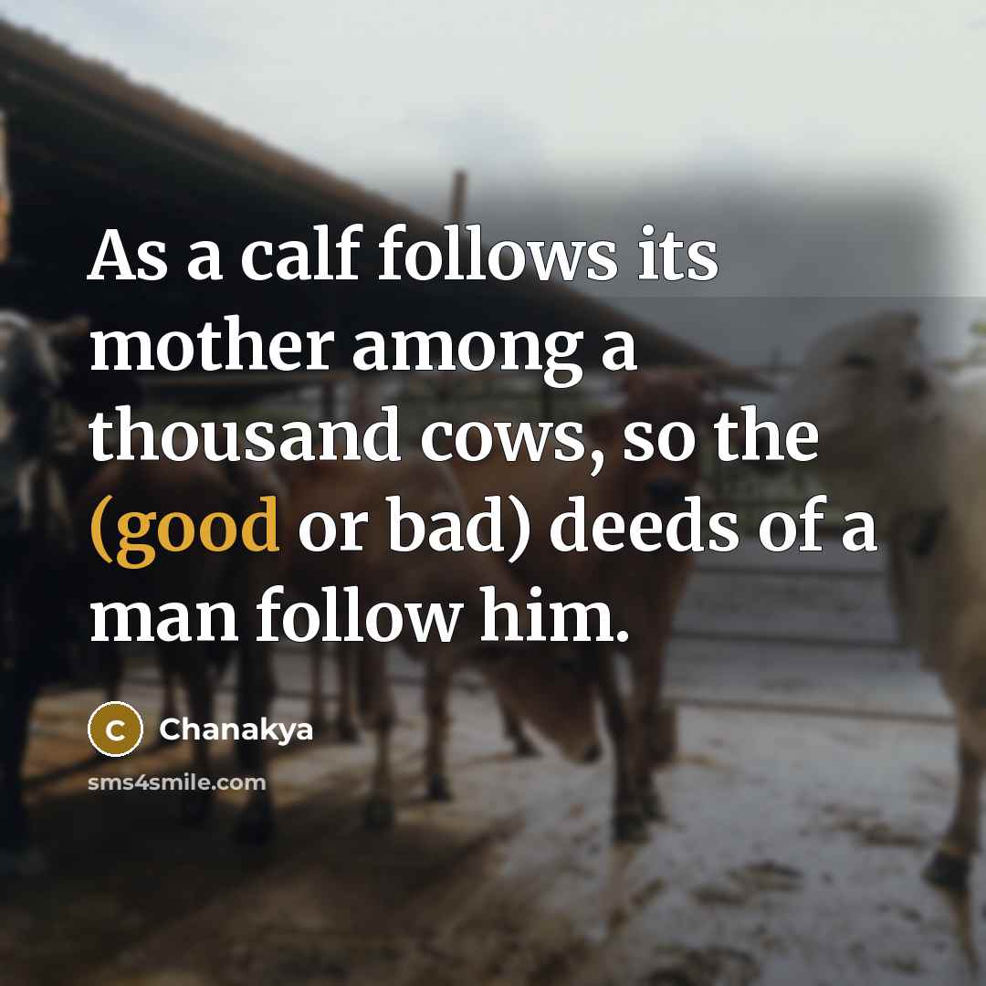 “As a calf follows its mother among a thousand cows,…” quote by Chanakya
