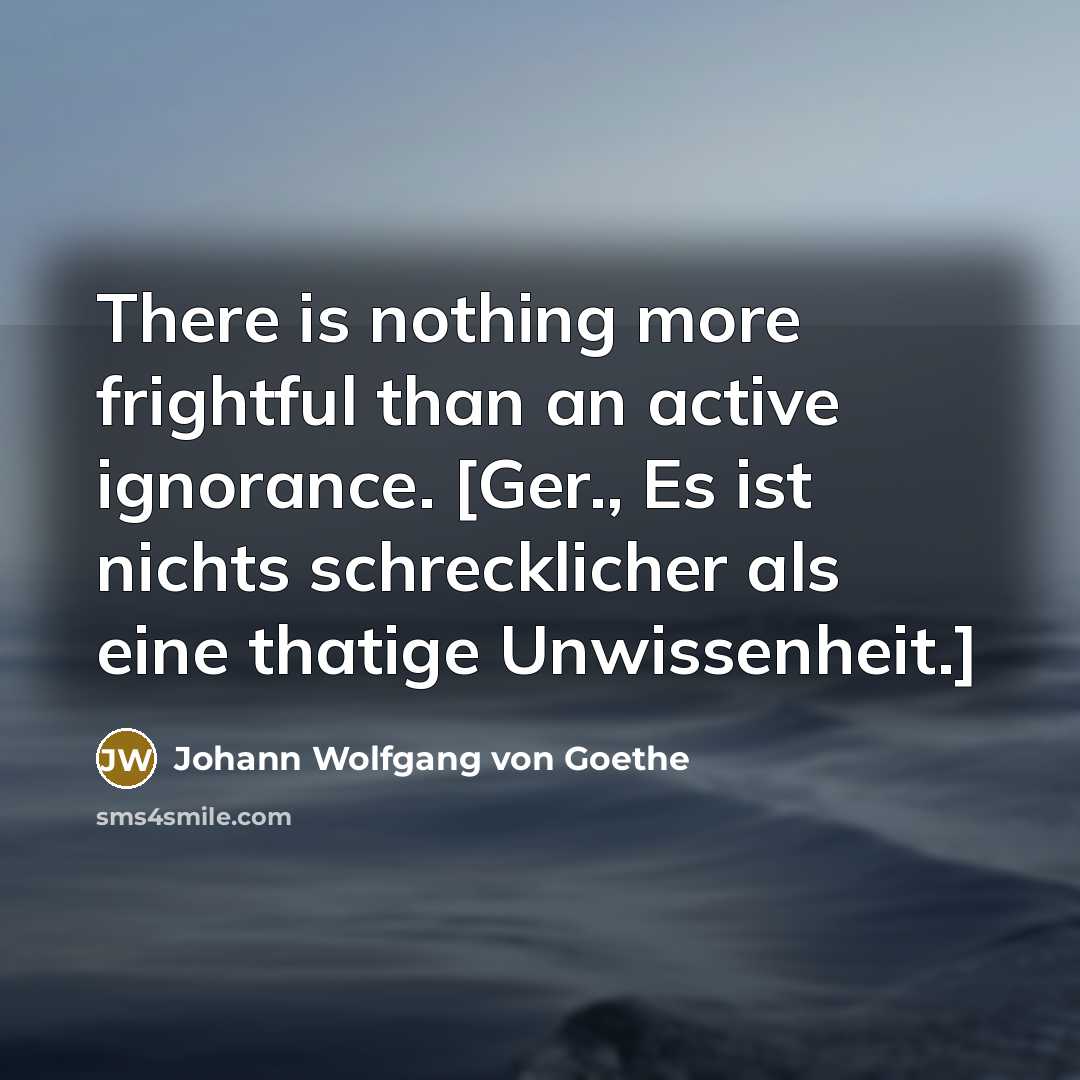 “There is nothing more frightful than an active ignorance. [Ger.,…” quote by Johann Wolfgang von Goethe