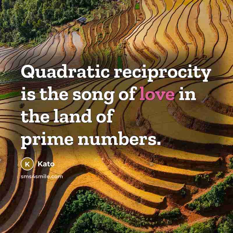 “Quadratic reciprocity is the song of love in the land…” quote by Kato