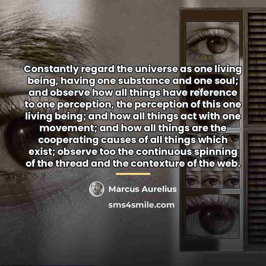 “Constantly regard the universe as one living being, having one…” quote by Marcus Aurelius