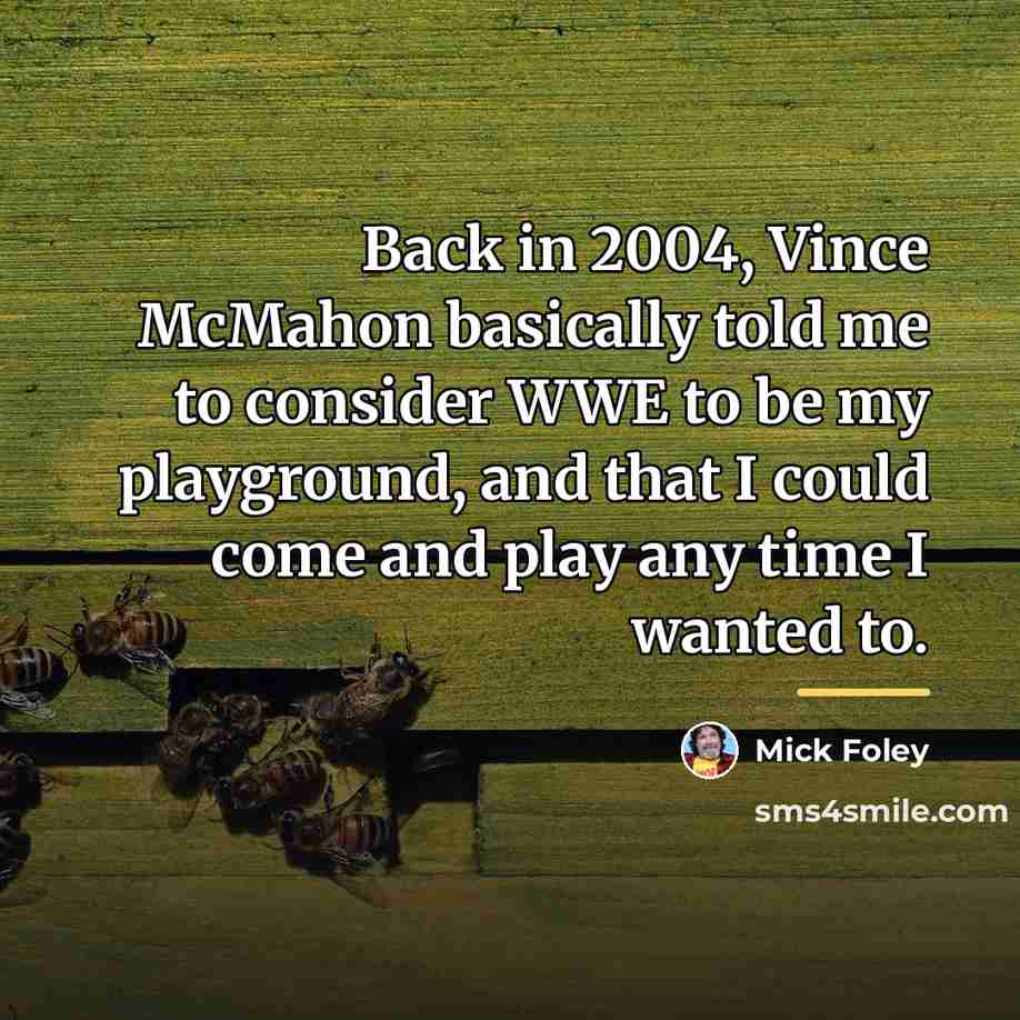 “Back in 2004, Vince McMahon basically told me to consider…” quote by Mick Foley