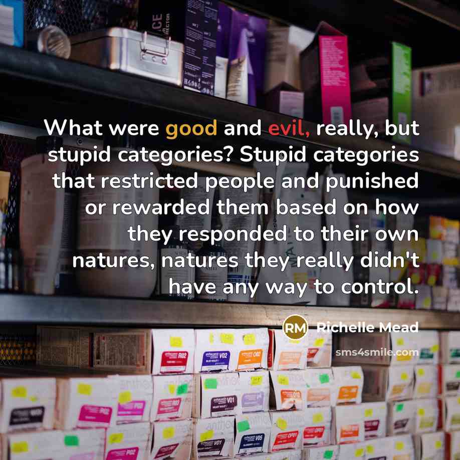 “What were good and evil, really, but stupid categories? Stupid…” quote by Richelle Mead