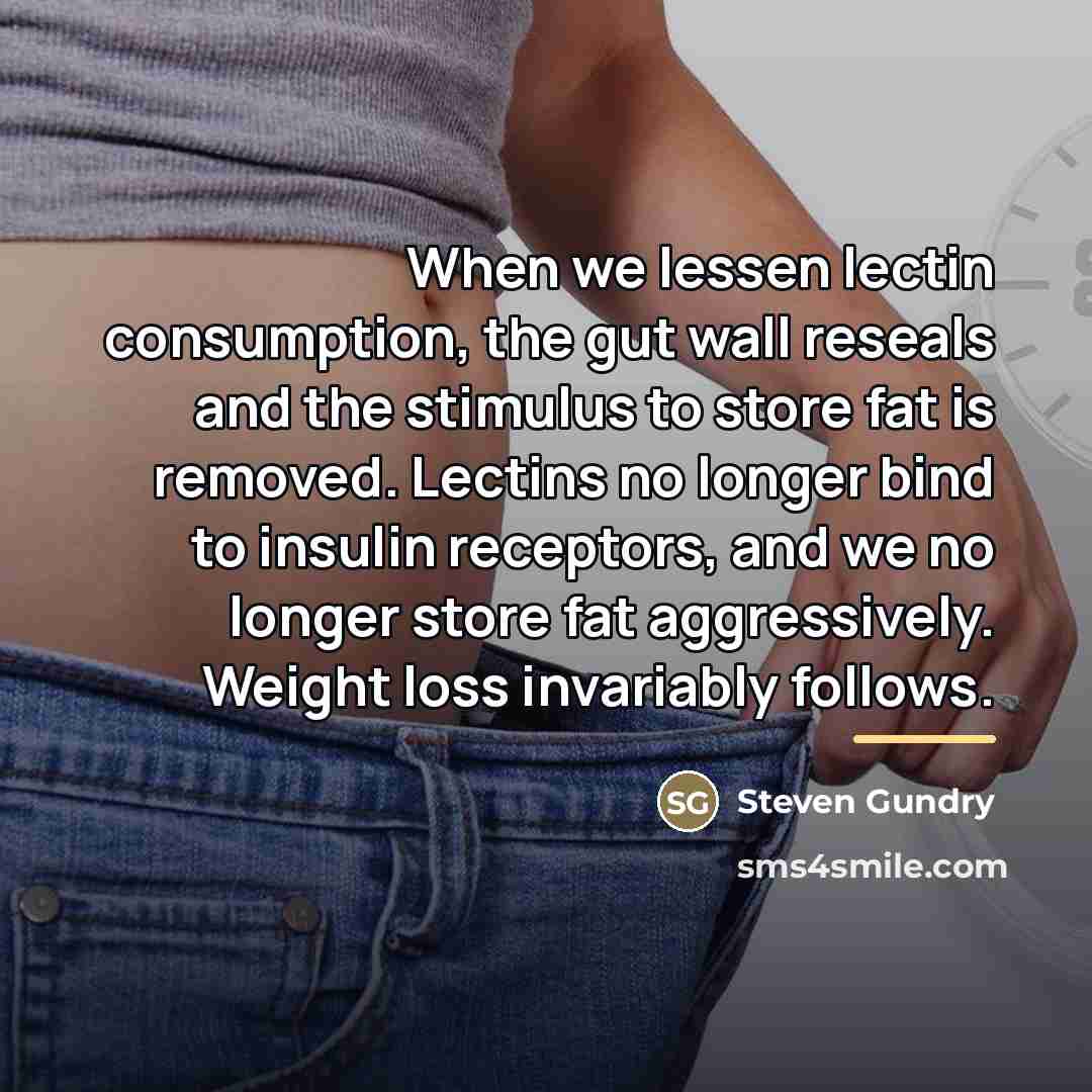 “When we lessen lectin consumption, the gut wall reseals and…” quote by Steven Gundry