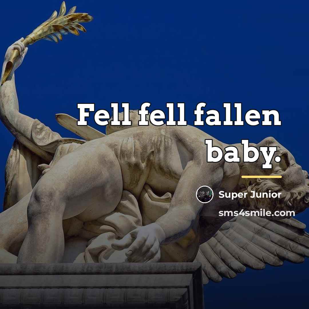 “Fell fell fallen baby.…” quote by Super Junior