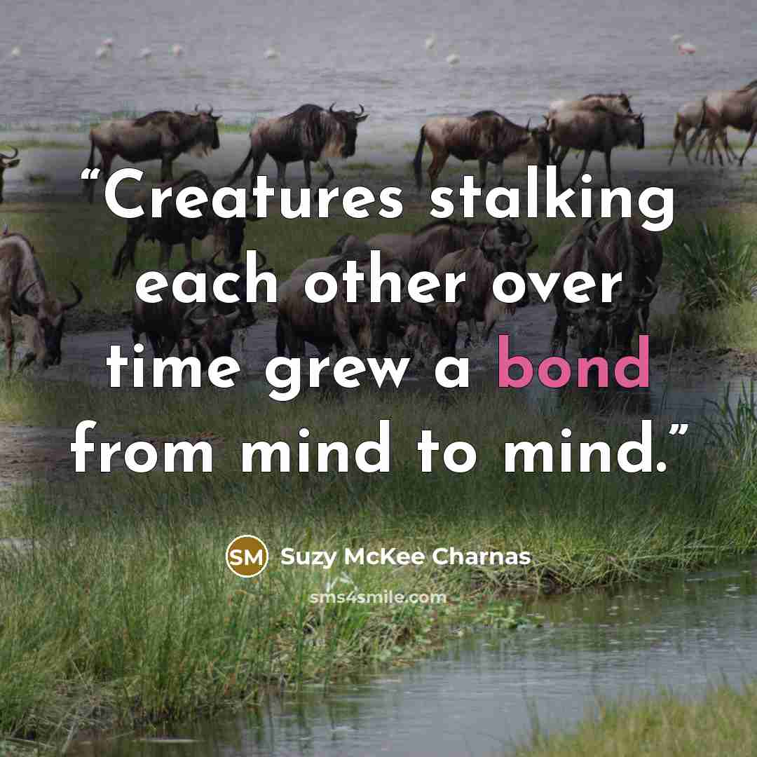 “Creatures stalking each other over time grew a bond from mind to mind.” quote by Suzy McKee Charnas