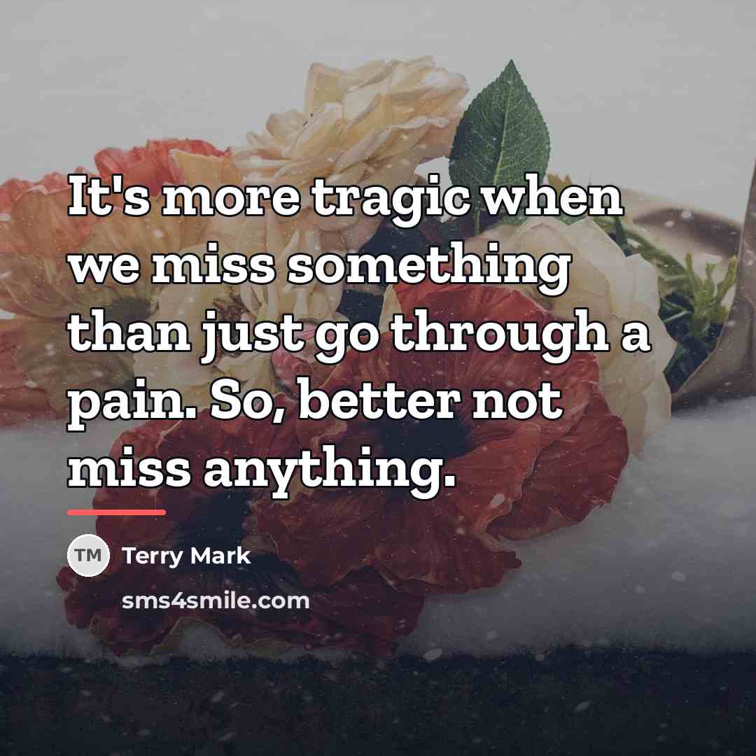 “It's more tragic when we miss something than just go…” quote by Terry Mark