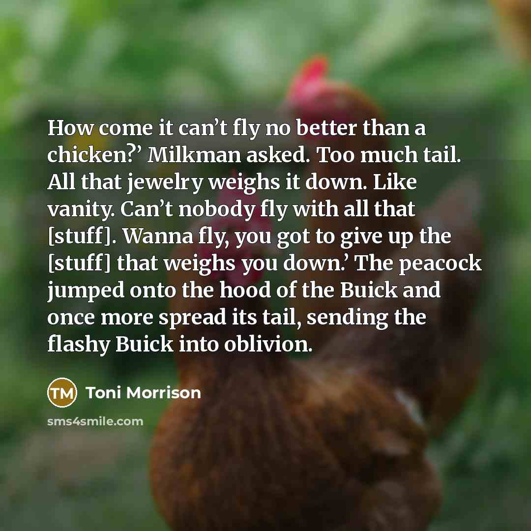 “How come it can’t fly no better than a chicken?’…” quote by Toni Morrison