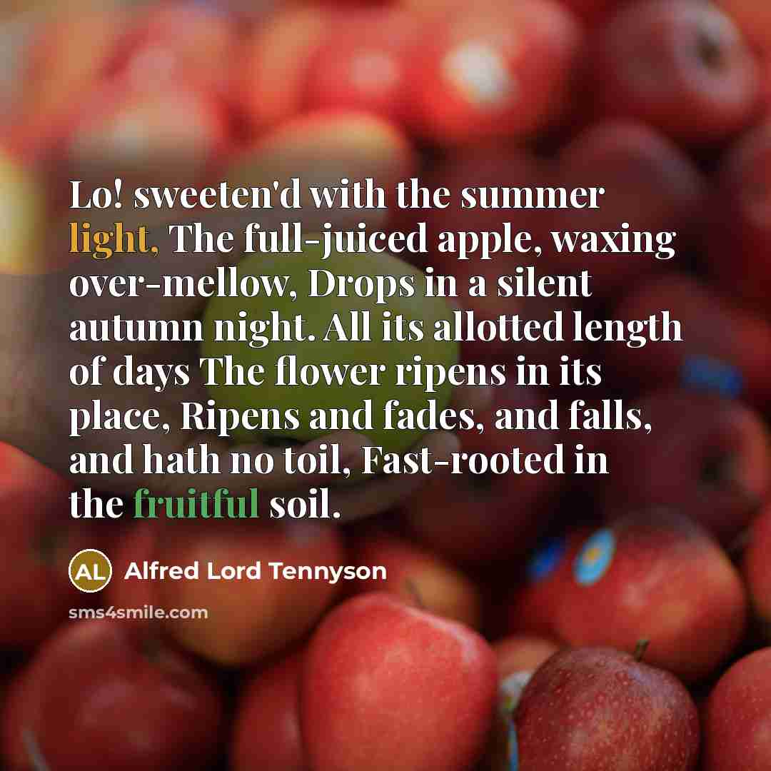 “Lo! sweeten'd with the summer light, The full-juiced apple, waxing…” quote by Alfred Lord Tennyson