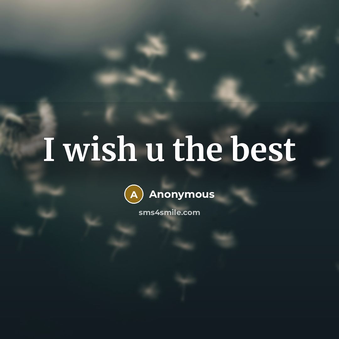 “I wish u the best” quote by Anonymous