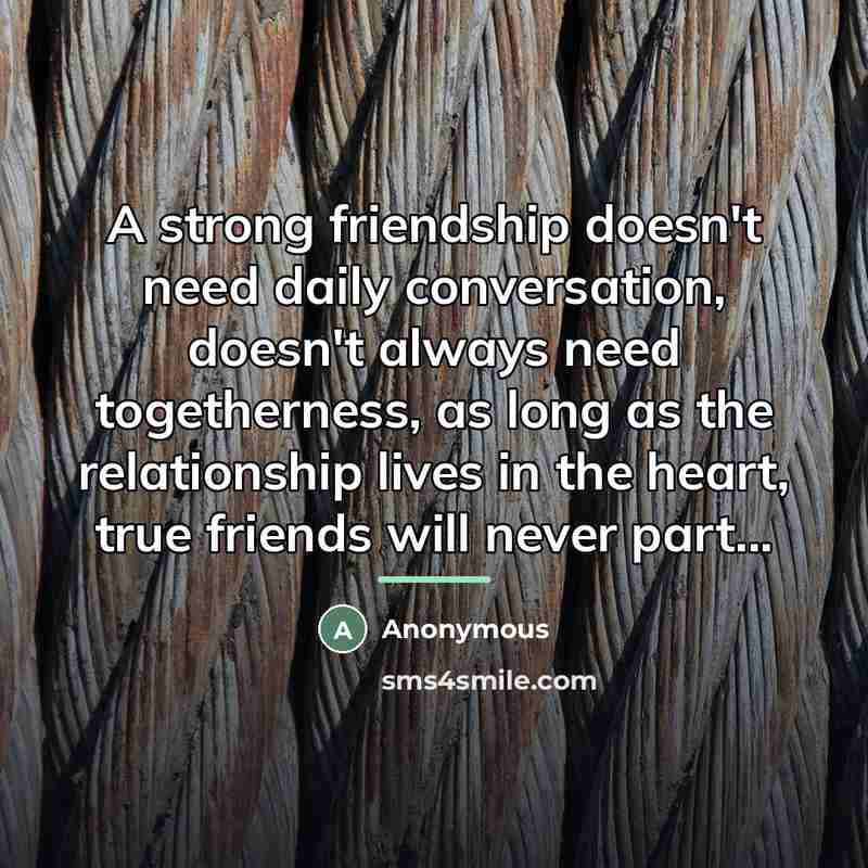 “A strong friendship doesn't need daily conversation, doesn't always need…” quote by Anonymous