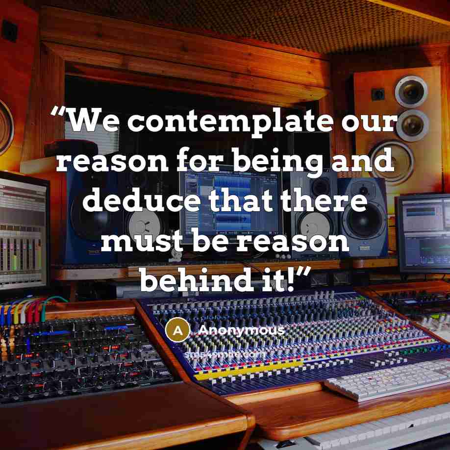 “We contemplate our reason for being and deduce that there must be reason behind it!” quote by Anonymous