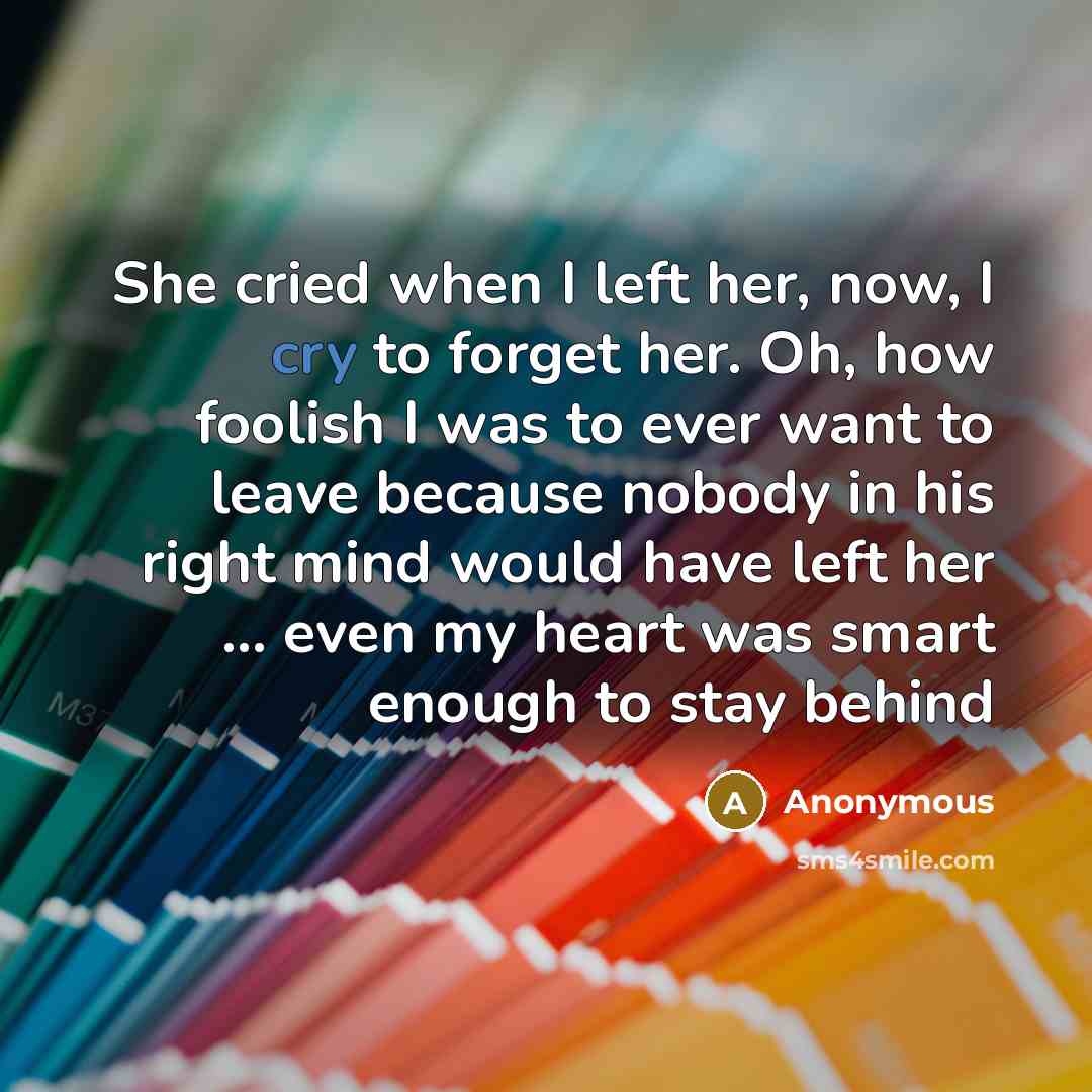 “She cried when I left her, now, I cry to…” quote by Anonymous